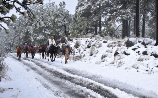 Alrededor de 200 vehículos con familias subieron para apreciar la nieve; Protección Civil permitió el acceso sólo de 8 am a 3 de la tarde, solicitando evitar llevar bebés, diabéticos, hipertensos y enfermos del corazón; además no adentrarse en el  bosque y portar ropa y zapatos adecuados.
