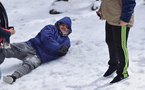 Alrededor de 200 vehículos con familias subieron para apreciar la nieve; Protección Civil permitió el acceso sólo de 8 am a 3 de la tarde, solicitando evitar llevar bebés, diabéticos, hipertensos y enfermos del corazón; además no adentrarse en el  bosque y portar ropa y zapatos adecuados.