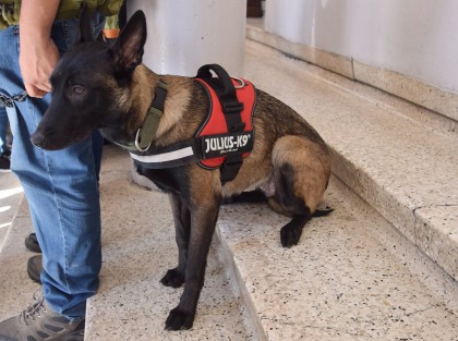 El grupo de entrenamiento canino K-9 Xalapa invitó al Congreso Internacional de Formación de Perros de Trabajo, en la ex fábrica de San Bruno.