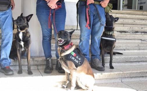 El grupo de entrenamiento canino K-9 Xalapa invitó al Congreso Internacional de Formación de Perros de Trabajo, en la ex fábrica de San Bruno.