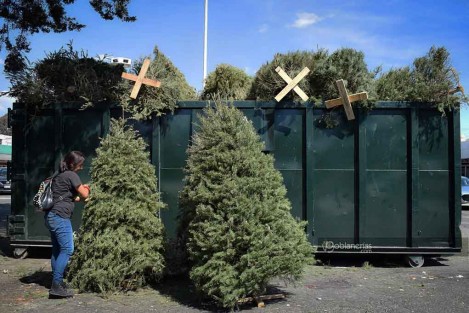Este 14 de enero inicia en Tlapacoyan el programa Recicla tu Navidad.