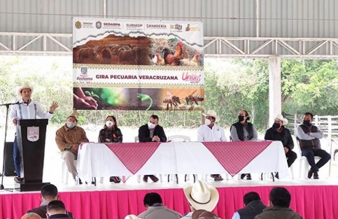 Así mismo SEDARPA lleva a cabo la Gira Pecuaria Veracruzana, donde se informa sobre los beneficios del decreto 856 de la Ley Ganadera del Estado de Veracruz en los municipios de Naolinco, Martínez de la Torre, Papantla, Ozuluama, Coatzintla y Pánuco.
