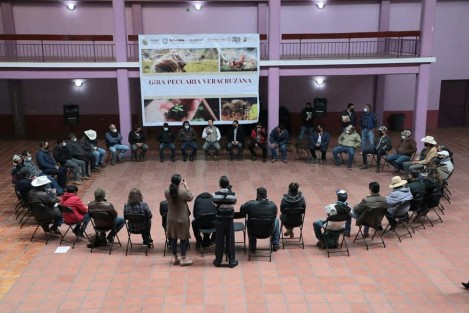 Así mismo SEDARPA lleva a cabo la Gira Pecuaria Veracruzana, donde se informa sobre los beneficios del decreto 856 de la Ley Ganadera del Estado de Veracruz en los municipios de Naolinco, Martínez de la Torre, Papantla, Ozuluama, Coatzintla y Pánuco.
