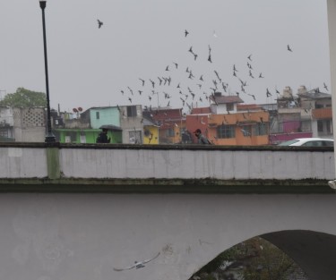 Debido al Frente Frío 28  habrá lloviznas y bajas temperaturas hasta este sábado. Capitalinos salieron  abrigados y con paraguas pues la sensación térmica se reportó de 12 grados este viernes por la mañana. 