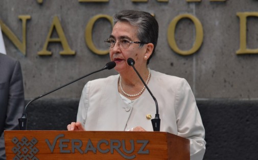 La senadora Gloria Sánchez Hernández dio a conocer que la Comisión Especial para indagar los presuntos abusos nunca tuvo legitimidad, toda vez que la JUCOPO no convocó al Pleno para su creación.