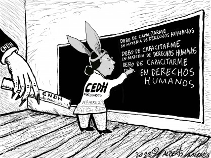 La CNDH le corrige la plana a la CEDHVeracruz. La presidenta de extracción neoliberal confunde camisón de derechos humanos con camisón de protección a periodistas de donde es egresada.  