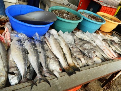 A decir de los locatarios del Mercado Municipal de Tlapacoyan, Ver., con la proximidad de la Cuaresma la demanda de productos del mar como pescados y mariscos se incrementa hasta en un 25 por ciento, en comparación del resto del año.


