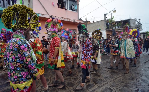 El carnaval afromestizo de Alto Tío Diego, municipio de Tepetlán, Ver., es uno de los más coloridos del estado, donde, como en Almolonga y Coyolillo, sus habitantes han luchado por mantener intacta la tradición sin la injerencia de otras prácticas como carros alegóricos o música moderna.