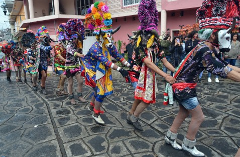 El carnaval afromestizo de Alto Tío Diego, municipio de Tepetlán, Ver., es uno de los más coloridos del estado, donde, como en Almolonga y Coyolillo, sus habitantes han luchado por mantener intacta la tradición sin la injerencia de otras prácticas como carros alegóricos o música moderna.