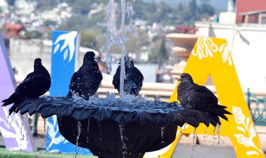 Por su parte, en territorio veracruzano sigue dominando cielo despejado a medio nublado, condición que mantendrá ambiente caluroso en la mayor parte del estado. No obstante, sigue previéndose el aumento de la nubosidad en el norte y zonas montañosas del estado conforme transcurra la tarde.