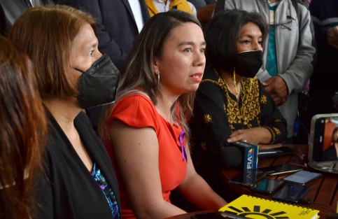  Contrario al discurso a favor de las mujeres que han mantenido tanto el gobierno estatal como el federal, las acciones y políticas públicas que han implementado estas administraciones en los últimos tres años han sido de violencia en contra del género femenino, señaló Myriam Lagunes Marín, secretaria de agendas de la Dirección Estatal Ejecutiva del PRD en Veracruz. 