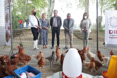 Este fin de semana fueron entregados talleres de herrería, belleza, café artesanal, molino de nixtamal, pie de cría de cerdos y gallinas, dentro del Programa Proyectos Productivos, para 23 municipios de las regiones Capital y Nautla. 