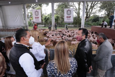 Este fin de semana fueron entregados talleres de herrería, belleza, café artesanal, molino de nixtamal, pie de cría de cerdos y gallinas, dentro del Programa Proyectos Productivos, para 23 municipios de las regiones Capital y Nautla. 