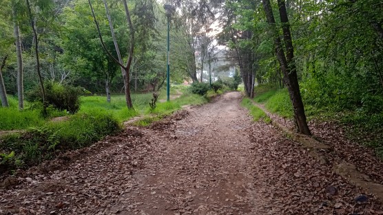 Abandono perciben algunos visitantes de un parque en la colonia Veracruz, perteneciente al Santuario de las Garzas, quienes incluso se ven en la necesidad de caminar en aguas negras de una coladera.