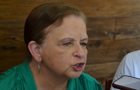 La diputada federal por MORENA, Ivonne Cisneros Luján, consideró que la discusión y eventual aprobación de la Reforma Eléctrica podría darse antes del 30 de abril, día que termina el periodo ordinario de sesiones en la Cámara baja del Congreso de la Unión.