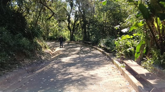 Ambientalistas piden proteger el Cerro de Macuiltépetl de la ciudad de Xalapa y de esta manera evitar que haya invasiones de más áreas verdes.

