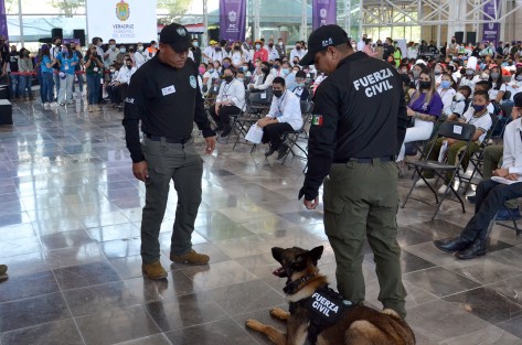 La Secretaría de Seguridad Pública hará exhibición de binomios caninos y equinos, vehículos y tácticas de defensa personal; el Sistema DIF Estatal tendrá autobuses para traslado desde los planteles educativos y apoyará con sillas de ruedas y traductores de Lengua de Señas.