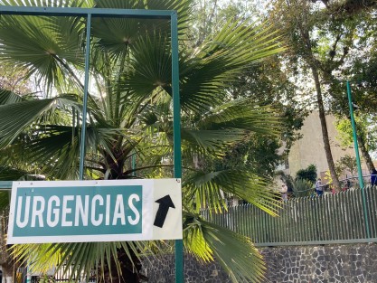 El problema para donar es más visible debido a la falta de cultura de la donación en la sociedad en general, ya que los donantes generalmente deben ser conseguidos entre familiares, cuando uno lo requiere, y los bancos de sangre no cuentan normalmente con una reserva suficiente que les permita atender urgencias.