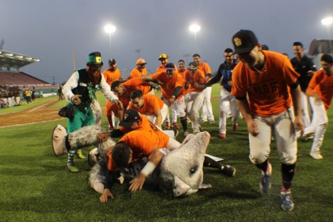 Con el triunfo de los Gallos de Santa Rosa por 9 carreras a 7 sobre Vikingos de El Salmoral, en el Estadio Beto Ávila, concluyó el primer torneo estatal de béisbol Copa Veracruz organizado por la Secretaría de Educación (SEV).