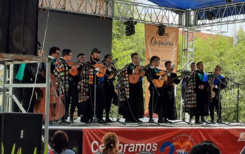 Dijo que la participación de jóvenes y niños también es muy importante, y  sobre todo que la iniciativa privada retoma las actividades, lo cual se podrá disfrutar hasta este 15 de abril con un gran programa artístico y cultural. Este sábado se disfrutó un encuentro de tunas con las femenil y varonil de la Universidad Veracruzana, y la de la Universidad Autónoma del Estado de Guerrero. 
