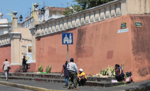 Los que esperan los primeros milagros de Semana Santa son los comerciantes de palmas.
