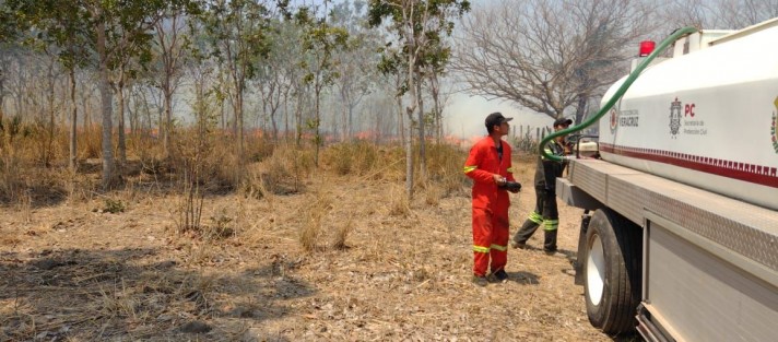 Las fuerzas combatientes de incendios concluyeron este domingo las tareas de liquidación del incendio forestal que devastó varias hectáreas de terreno arbustivo en el municipio de Actopan.

