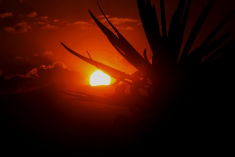 Sigue observándose que la intensidad del calor disminuya ligeramente en algunas regiones del estado el jueves debido al cambio de la dirección del viento al Noreste como resultado de la presencia de frente frío 42 en el noroeste del Golfo de México y de una vaguada con eje en el oeste del mismo.