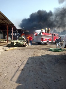 Elementos de la SEDENA delimitaron  un perímetro de seguridad, en el que las fuerzas de tarea de combate al fuego trabajaron. Al sitio acudieron: SEDENA, SSP, PC Estatal y municipal, Bomberos de Perote y Xalapa, así como personal de la planta, ayuntamiento y ambulancias de CRUM, Panteras, Cruz Roja, Scorpion y municipio.
