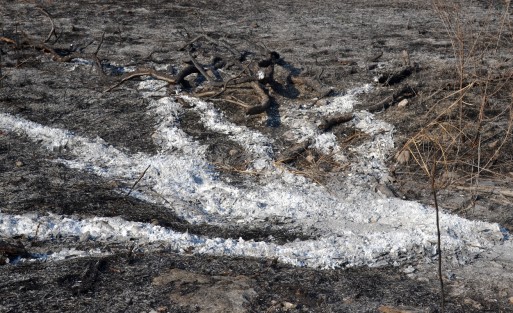 Habitantes del lugar piden a los dueños de la cementera Moctezuma permitan a las autoridades permitan hacer su trabajo y así evitar una desgracia