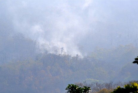 Desde el sábado por la tarde pobladores del municipio Apazapan y de las comunidades aledañas siguen reportando una serie de incendios los cuales comenzaron en un lugar conocido como Cerro Colorado.  A pesar de que autoridades de Protección Civil ya tienen conocimiento, estos aún continúan ardiendo. 