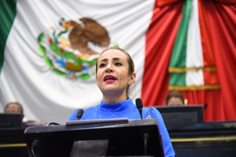 Con el objeto de garantizar a las madres solteras, divorciadas y viudas el ejercicio de sus derechos humanos, en igualdad de condiciones económicas que los hombres, la diputada Nora Jéssica Lagunes Jáuregui presentó la Iniciativa con Proyecto de Ley de Apoyo a Madres Jefas de Familia para el Estado de Veracruz de Ignacio de la Llave.