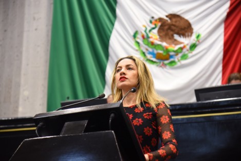 Con el objeto de reconocer con el Premio a la Mujer Veracruzana a más personas que hayan destacado en los diversos ámbitos como el político, económico, jurídico, social, cultural, servicio público, entre otros, la diputada Maribel Ramírez Topete, presentó al Pleno del Congreso una iniciativa que busca reformar la Ley de Premios del Estado de Veracruz de Ignacio de la Llave.