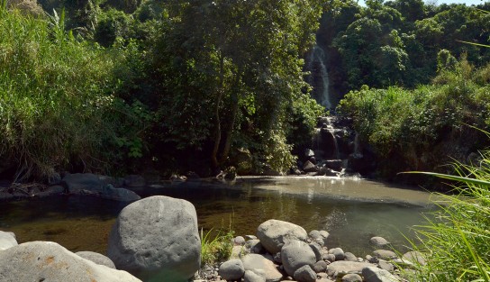 Varias descargas de aguas residuales forman una gigantesca cascada que viene de todo el pueblo de Xico y caen y contaminan las aguas todavía cristalinas del río Coyopolan que ahí termina de ser contaminada y sigue su paso ya como aguas negras.