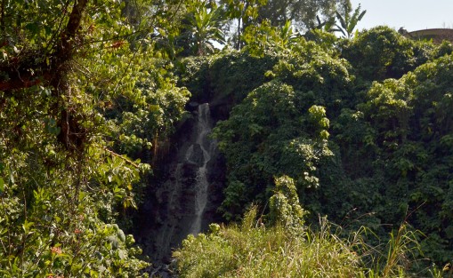Varias descargas de aguas residuales forman una gigantesca cascada que viene de todo el pueblo de Xico y caen y contaminan las aguas todavía cristalinas del río Coyopolan que ahí termina de ser contaminada y sigue su paso ya como aguas negras.