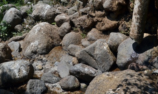 Entre aguas residuales, restos de animales, plásticos  y otros desechos, continúa la contaminación del rio Coyolapan, la cual ha sido denunciada en varias ocasiones sin que hasta el momento ninguna autoridad municipal o estatal haya hecho nada.