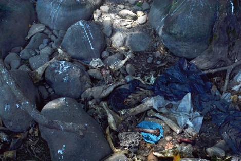 Entre aguas residuales, restos de animales, plásticos  y otros desechos, continúa la contaminación del rio Coyolapan, la cual ha sido denunciada en varias ocasiones sin que hasta el momento ninguna autoridad municipal o estatal haya hecho nada.