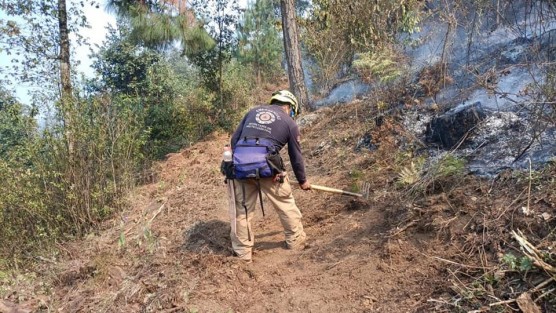 Protección Civil del Estado informó que al corte de las 14:00 horas de hoy, se registraban 13 incendios forestales activos, 2 de pastizal y 5 de basurero, atendidos por fuerzas de tarea de los 3 órdenes de gobierno.
