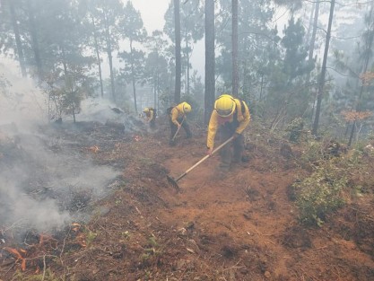 Al corte de las 17:00 horas, Protección Civil informó que el incendio registrado en el predio Cacalotécatl, paraje Huizalacatla Loma, se reportaba  con un 70 % de control y un 55 % de liquidación.
