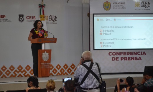 La titular de Protección Civil estatal, Guadalupe Osorno Maldonado, dijo que este fin de semana han sido atendidos 21 incendios forestales y 45 en pastizales con más de 200 elementos del Ejército Mexicano, Comisión Nacional Forestal (CONAFOR), Secretaría de Medio Ambiente y brigadas comunitarias.