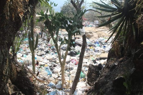 Un basurero clandestino afecta a cuatro comunidades de los municipios de Jilotepec y Naolinco, señalaron los vecinos de San Juan, Paso del Toro, 4 Soles y Tenampa. Piden la intervención inmediata de las autoridades municipales y ambientales para que este sitio deje de operar, pues los lixiviados se filtran a los mantos acuíferos.