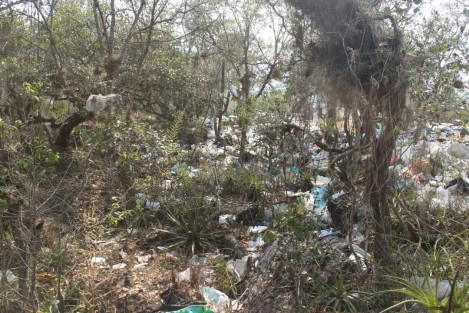 Piden a la Secretaría de Medio Ambiente del Estado de Veracruz (Sedema) que intervenga para realizar un estudio serio de las afectaciones y de ser necesario que se reubique el basurero a otra zona. O a la PMA, cuando tengan un rato libre. 