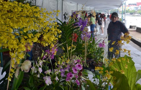 En representación del presidente municipal Ricardo Ahued Bardahuil, el regidor Diego David Florescano Pérez destacó que en este evento que se desarrollará desde hoy hasta el 31 de mayo participan más de 40 viveristas y apicultores de Xalapa y municipios de la región.
