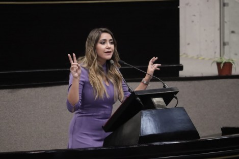 La Presidenta de la Comisión Permanente de Derechos Humanos y Atención a Grupos Vulnerables dijo que su propuesta tiene origen en el feminicidio de Monse, ocurrido el año pasado en el puerto de Veracruz a manos de su pareja, Marlon N, caso que <em>permitió evidenciar la necesidad de que la ley evolucione para realmente otorgar justicia y reparación del daño, no solo a víctimas y familiares de feminicidios, sino también a las víctimas de todos los delitos</em>.

 