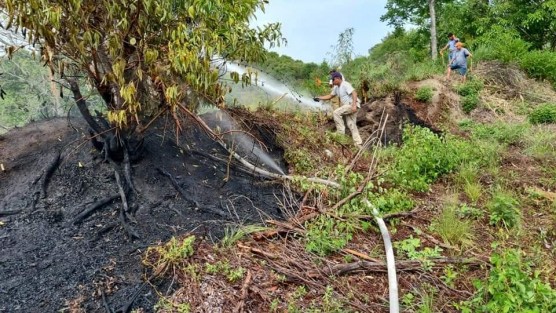 Personal de Protección Civil de Tlapaoyan acudió a controlar el incendio, evitando que se extendiera e incluso afectara las aulas del plantel. 