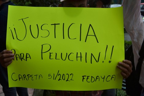 Habitantes de El Boquerón, perteneciente al municipio de  Banderilla, se manifestaron frente a las oficinas de la Fiscalía de la avenida Ávila Camacho para exigir justicia por el asesinato de un perrito.