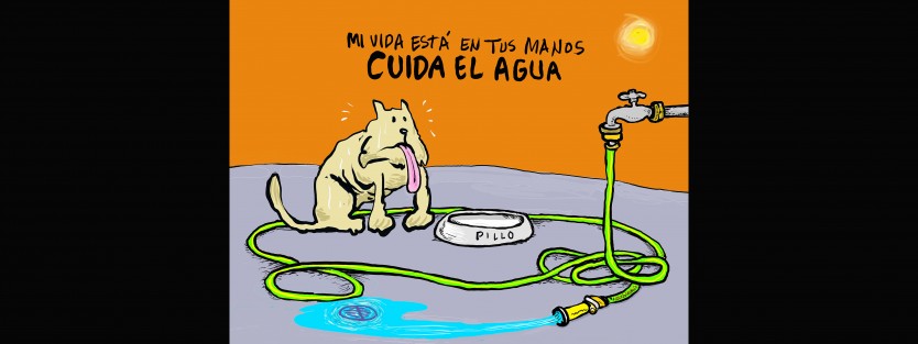 Otros la necesitan también.