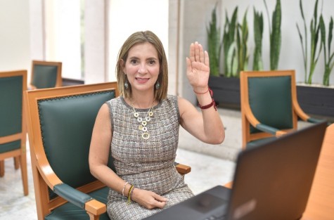 La diputada Ana Miriam Ferráez Centeno planteó que las niñas, los niños y adolescentes estén blindados contra cualquier forma de disciplina violenta en sus hogares.