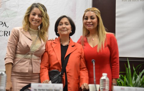 La diputada federal y ex gobernadora de Zacatecas, Amalia García participó con una conferencia en la presentación de la Red de mujeres electas, en el Palacio Legislativo.  