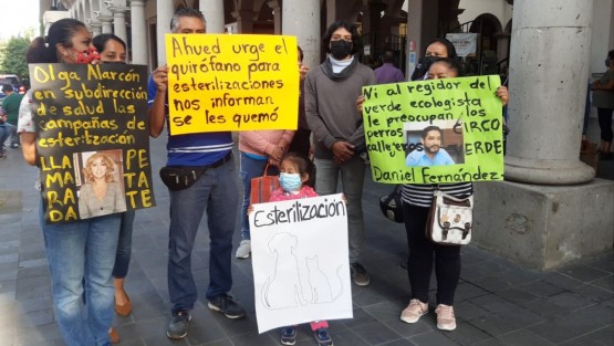 Un grupo de personas se manifestó frente al Palacio de Gobierno de Xalapa en demanda de que se reactiven las campañas de esterilizaciones de mascotas, las cuales por una falla en la unidad utilizada para ello, se encuentran limitadas. 