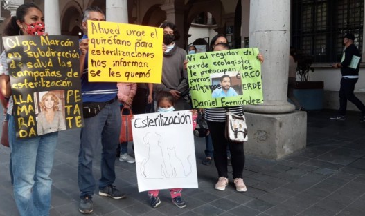 Un grupo de personas se manifestó frente al Palacio de Gobierno de Xalapa en demanda de que se reactiven las campañas de esterilizaciones de mascotas, las cuales por una falla en la unidad utilizada para ello, se encuentran limitadas. 